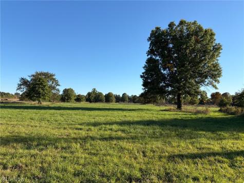 10580 Bandy Road North Benton OH 44449