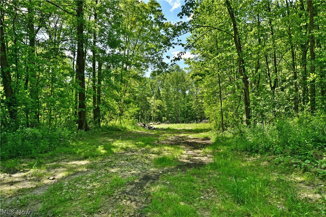 Mahan Denman Road Bristolville OH 44402
