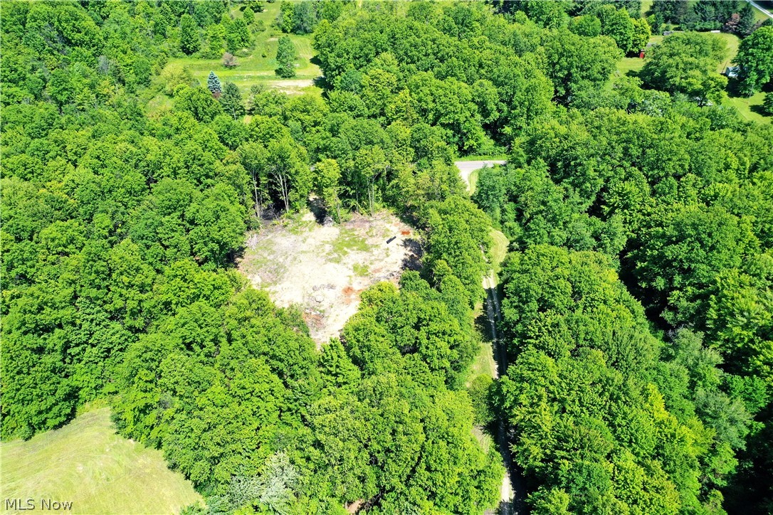 Mahan Denman Road Bristolville OH 44402