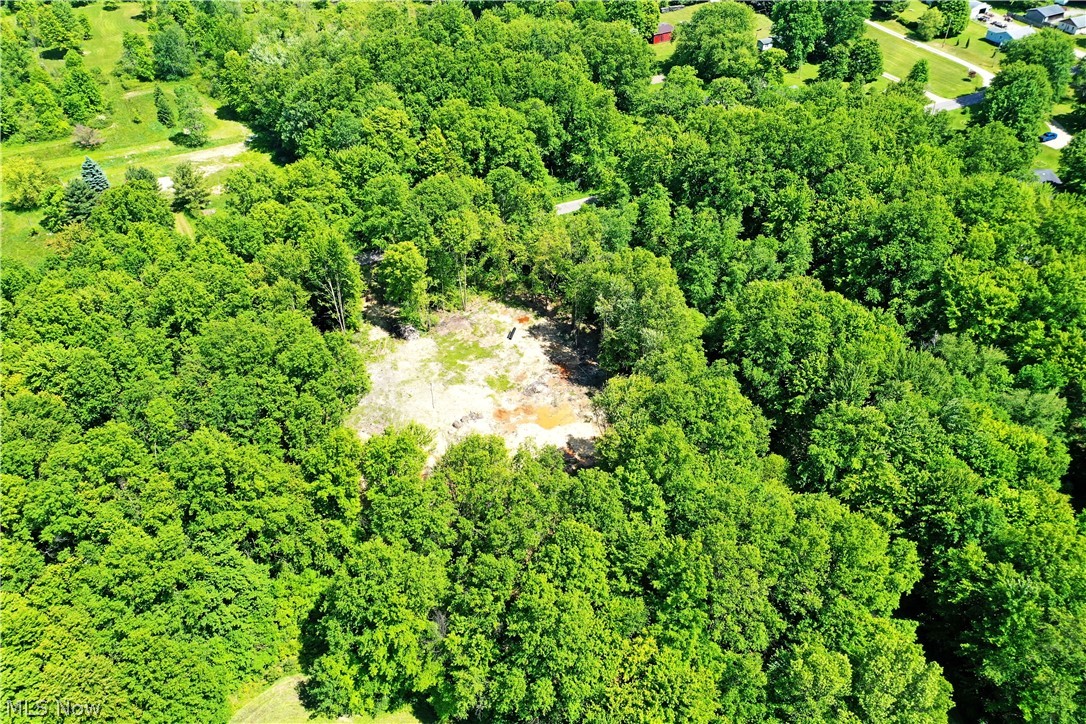Mahan Denman Road Bristolville OH 44402