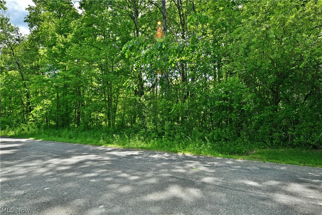 Mahan Denman Road Bristolville OH 44402
