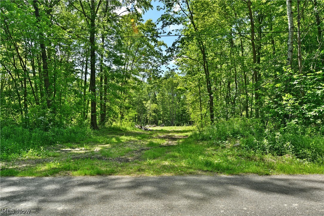 Mahan Denman Road Bristolville OH 44402
