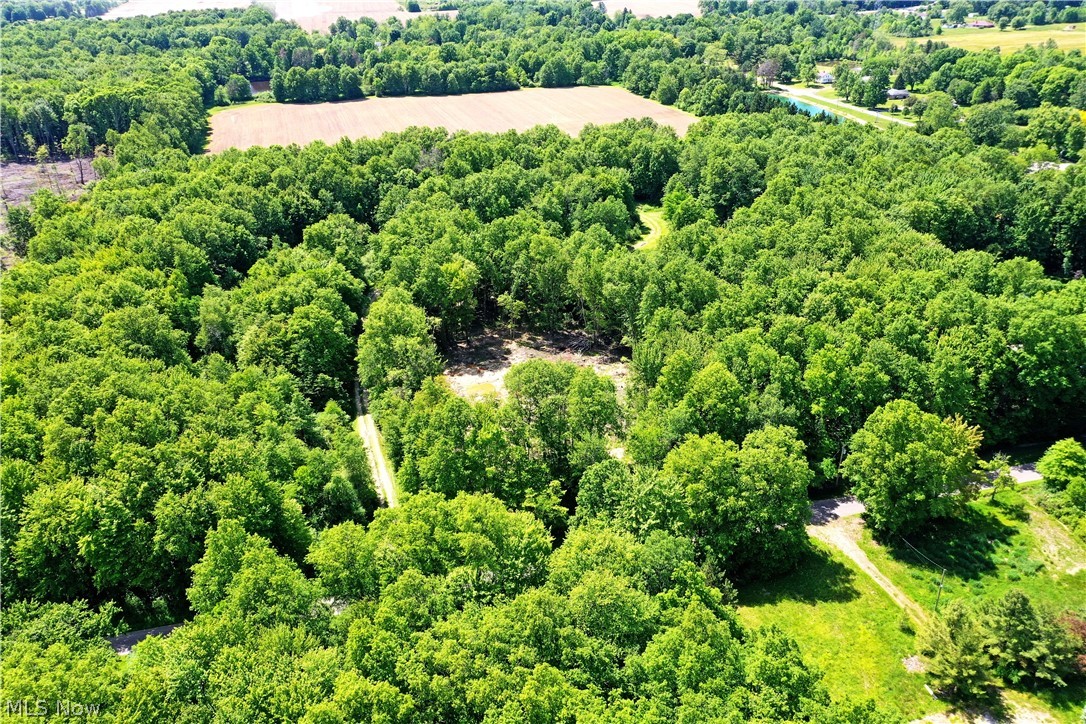Mahan Denman Road Bristolville OH 44402