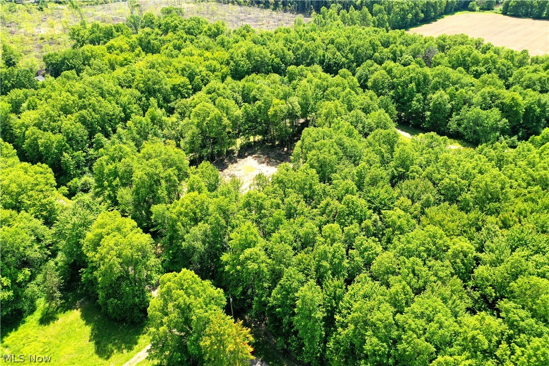 Mahan Denman Road Bristolville OH 44402