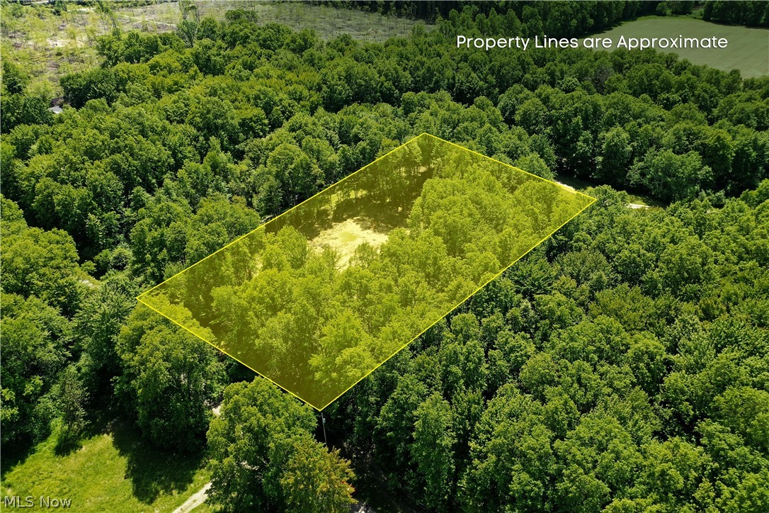 Mahan Denman Road Bristolville OH 44402