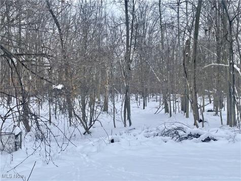 7791 Hoertz Road Parma OH 44134