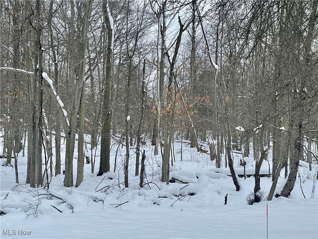 7791 Hoertz Road Parma OH 44134