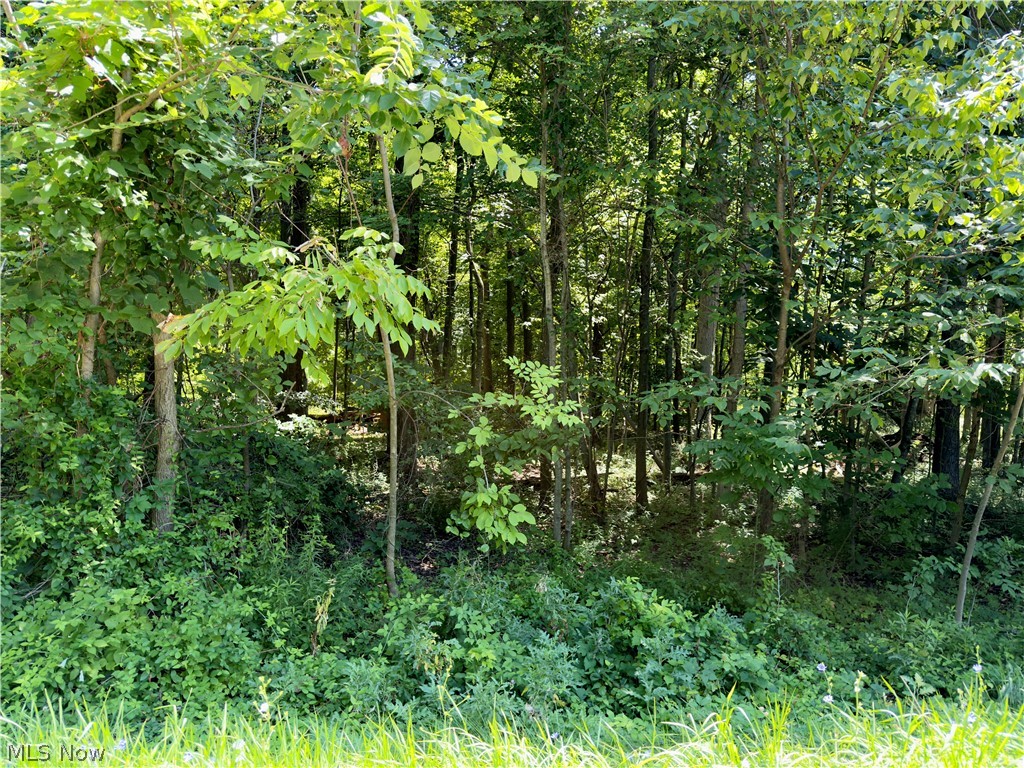 48091 N Ridge Road Amherst OH 44001