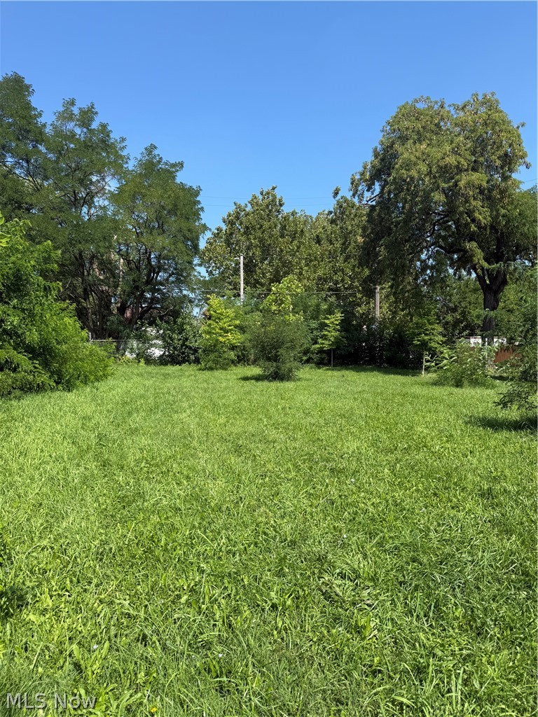 1644 E 49th Street Cleveland OH 44103