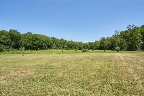 V/l Newton Drive Wadsworth OH 44281