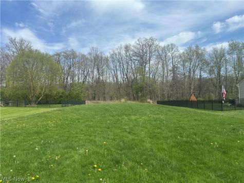 V/l Newton Drive Wadsworth OH 44281