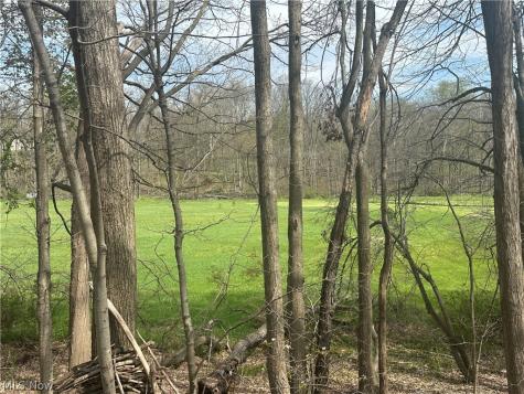 V/l Newton Drive Wadsworth OH 44281