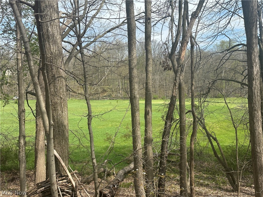 V/l Newton Drive Wadsworth OH 44281