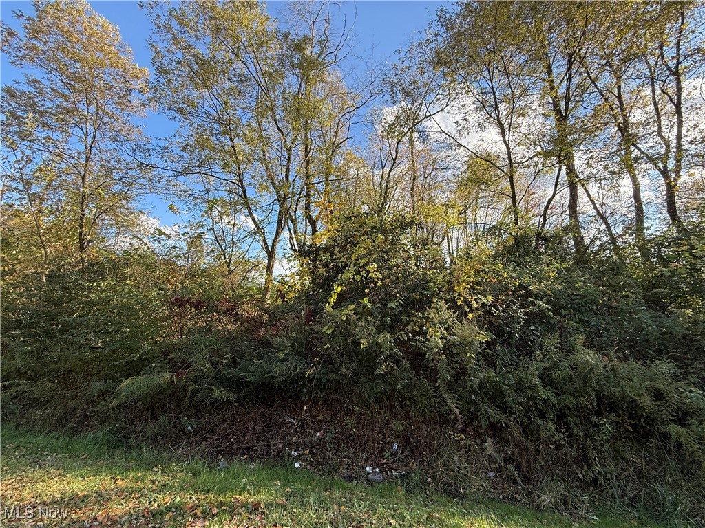 New Castle Road Lowellville OH 44436
