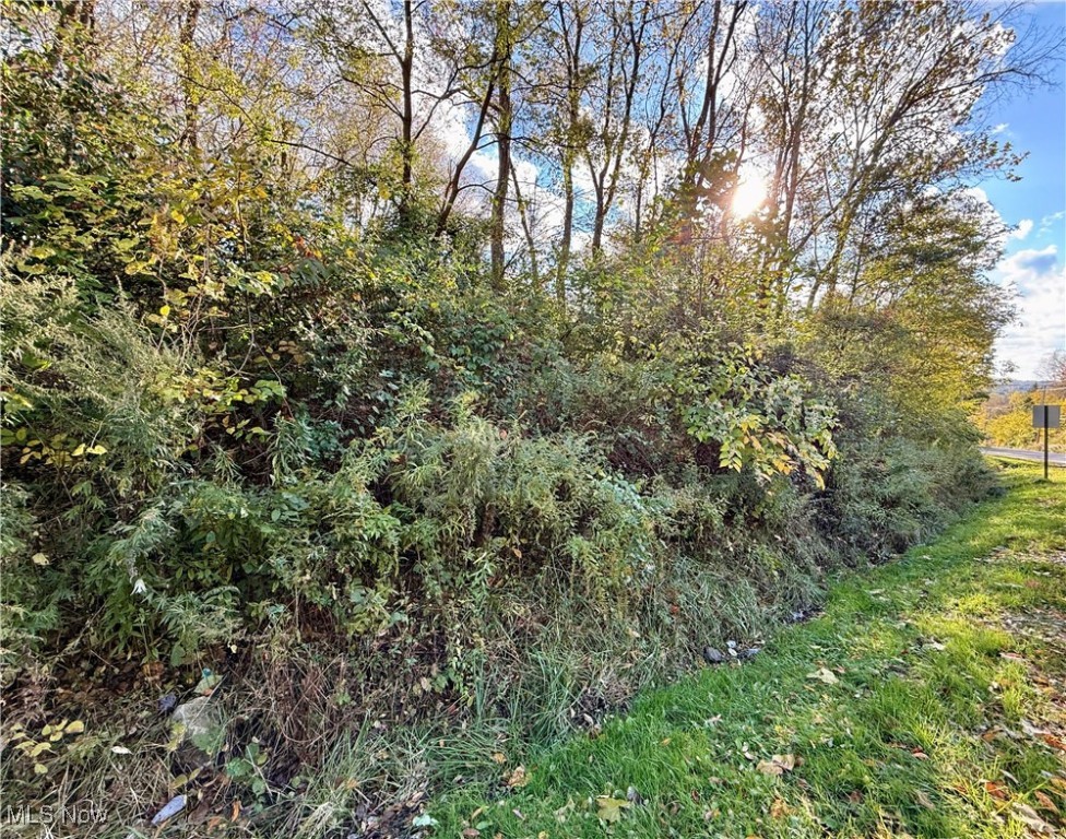New Castle Road Lowellville OH 44436