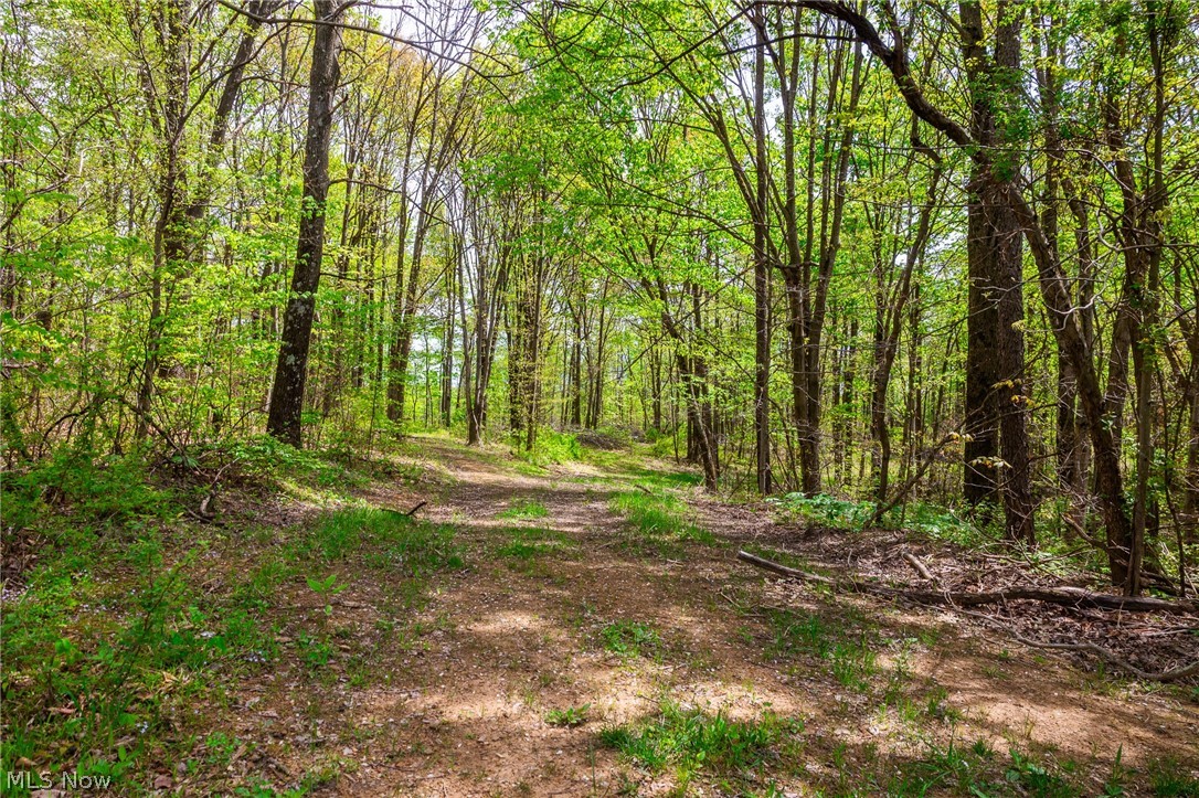 6268 Kings Ridge Road Newcomerstown OH 43832