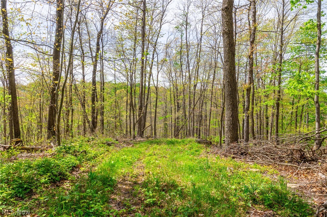 6268 Kings Ridge Road Newcomerstown OH 43832
