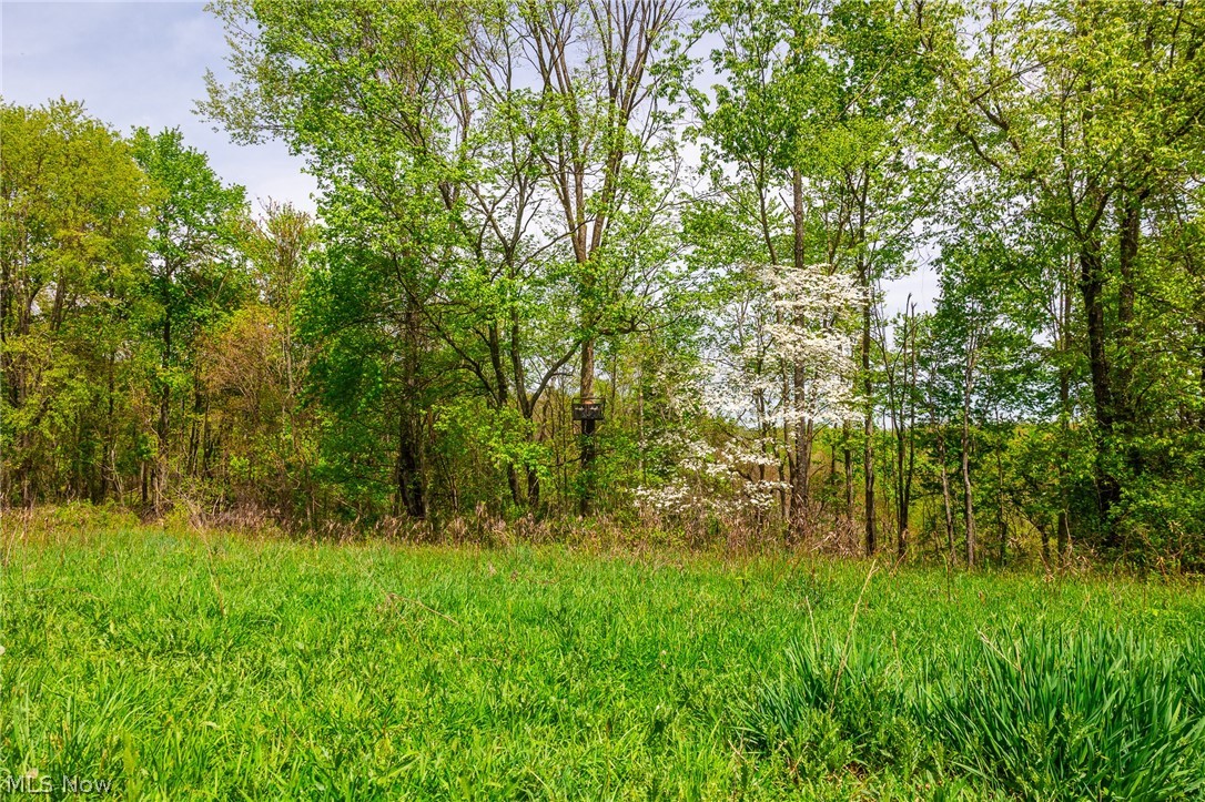6268 Kings Ridge Road Newcomerstown OH 43832