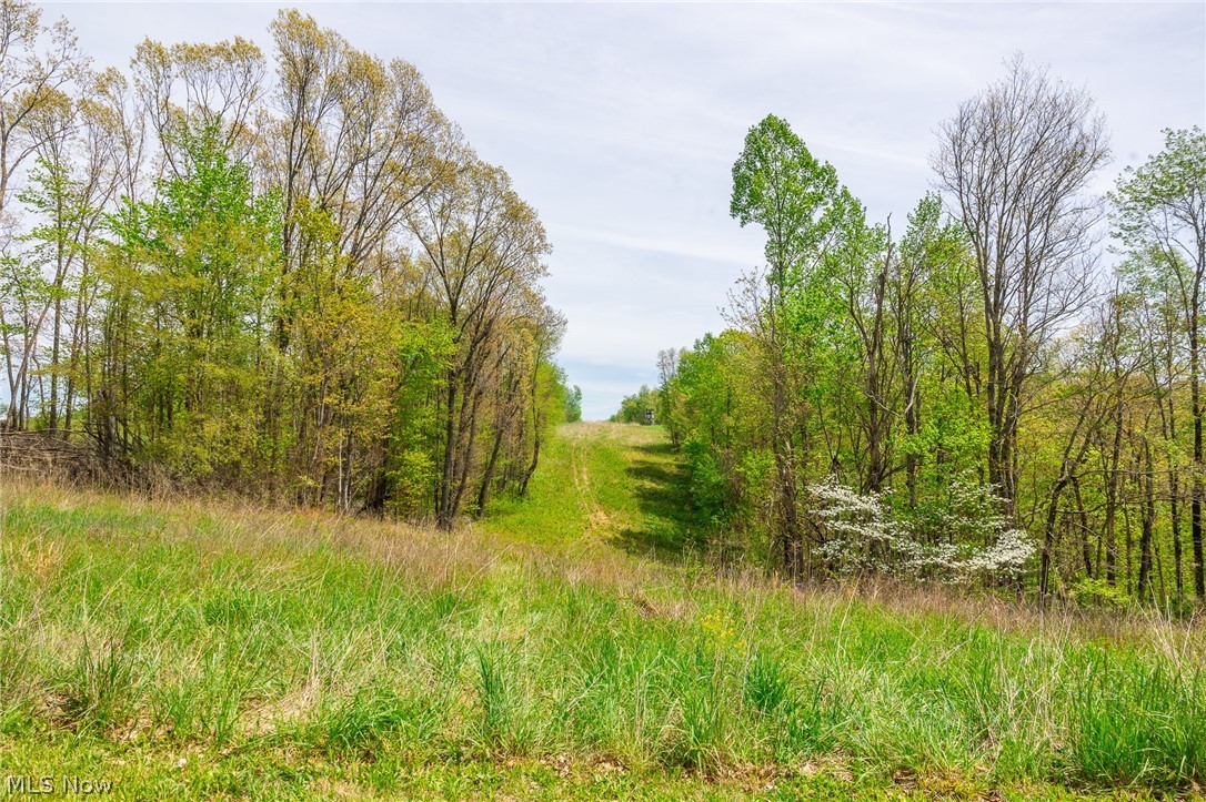 6268 Kings Ridge Road Newcomerstown OH 43832