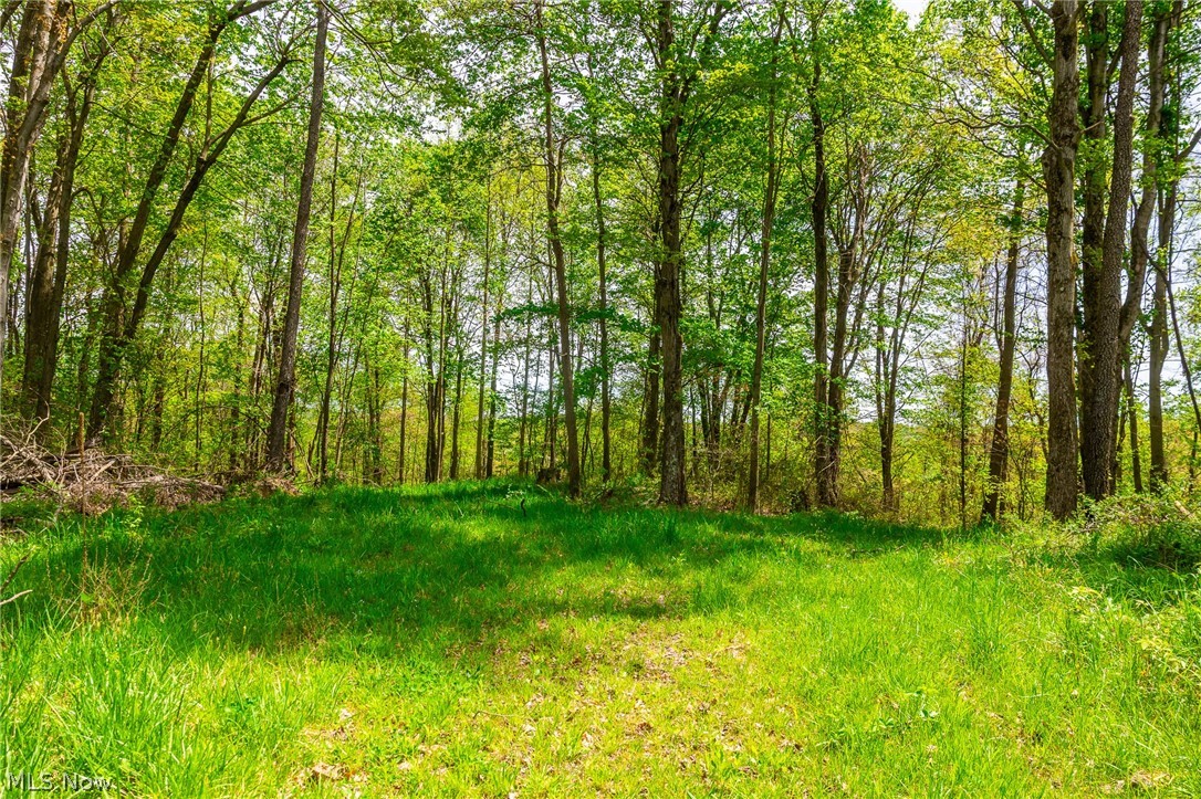 6268 Kings Ridge Road Newcomerstown OH 43832