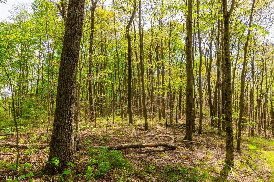 6268 Kings Ridge Road Newcomerstown OH 43832