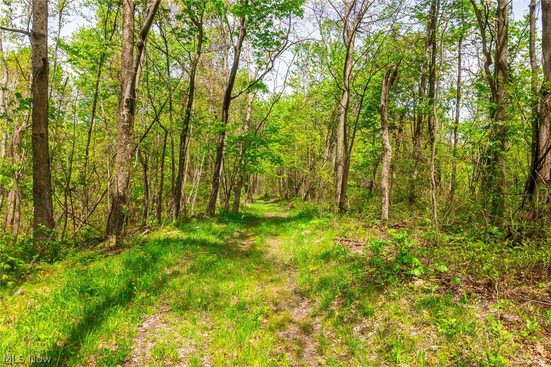 6268 Kings Ridge Road Newcomerstown OH 43832