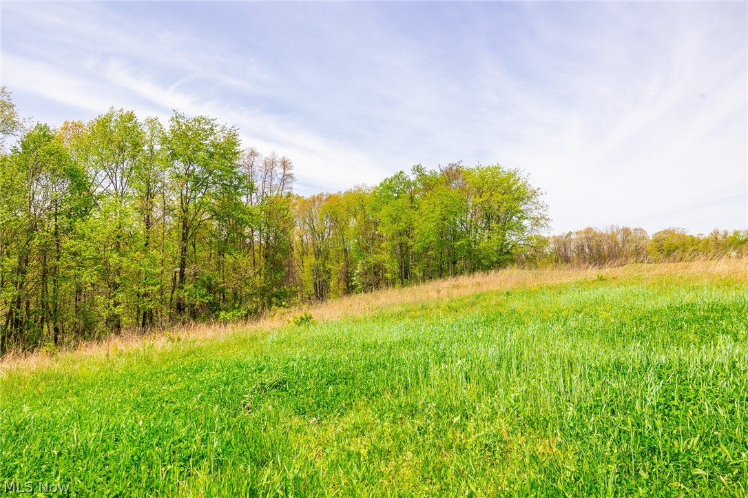 6268 Kings Ridge Road Newcomerstown OH 43832