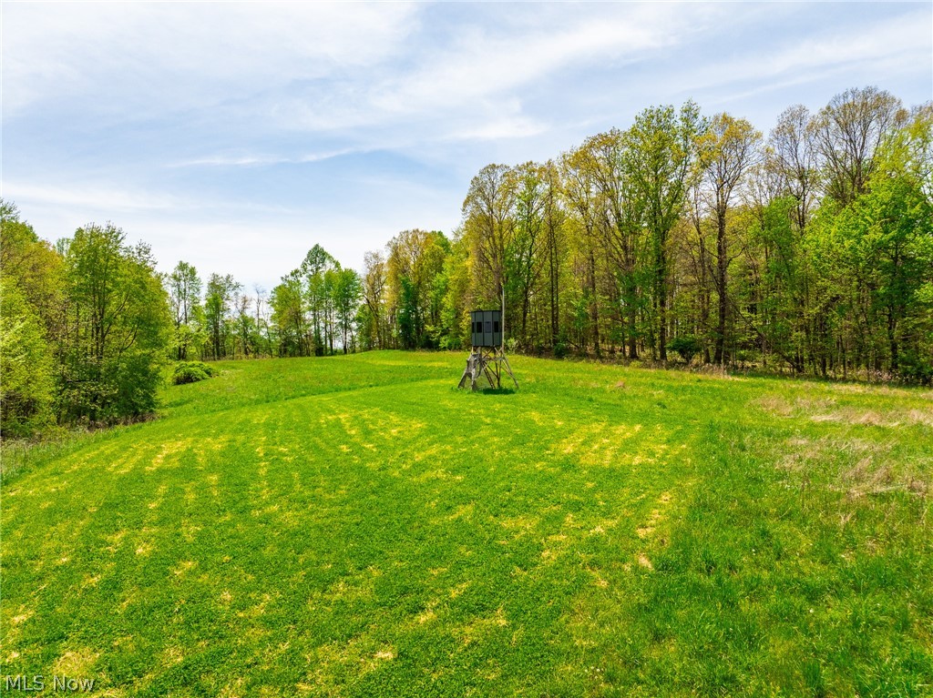 6268 Kings Ridge Road Newcomerstown OH 43832