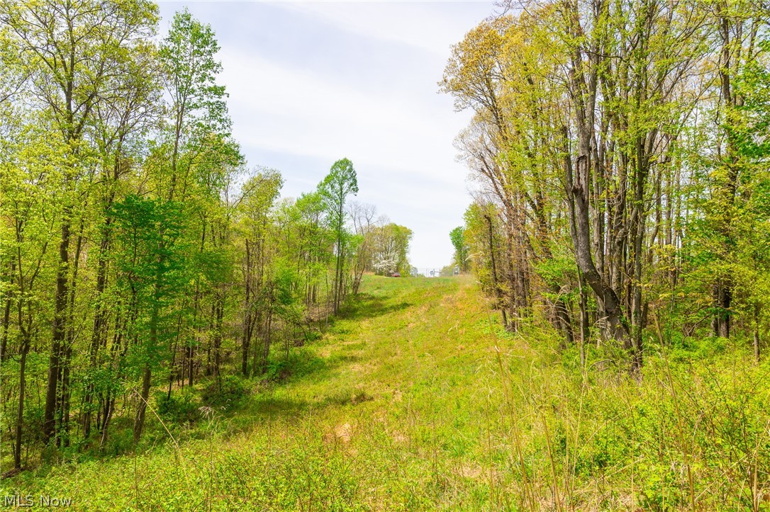 6268 Kings Ridge Road Newcomerstown OH 43832
