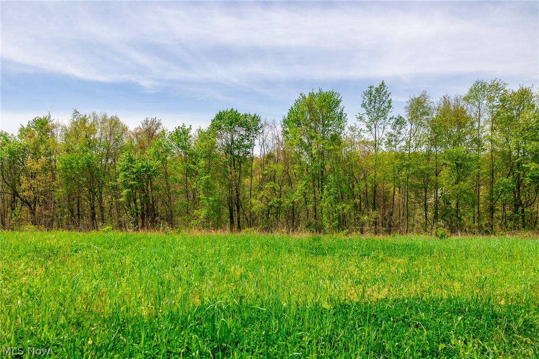 6268 Kings Ridge Road Newcomerstown OH 43832