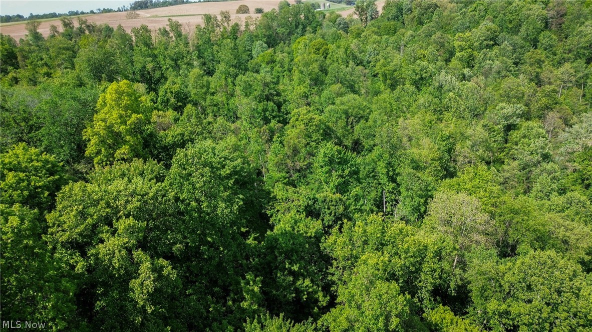Degen Road SW Stone Creek OH 43840