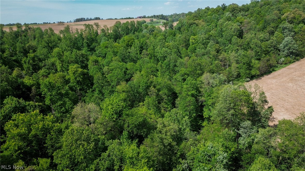 Degen Road SW Stone Creek OH 43840
