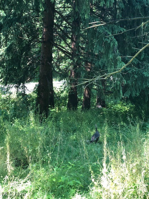 Ville Wilson Mills Road Chardon OH 44024