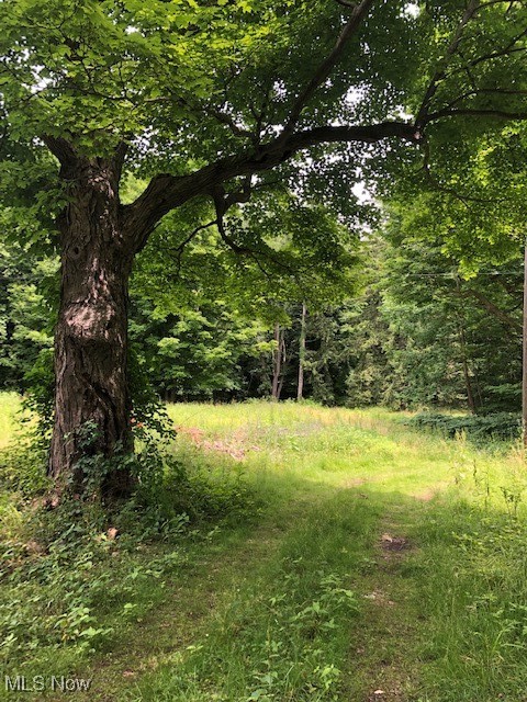 Ville Wilson Mills Road Chardon OH 44024