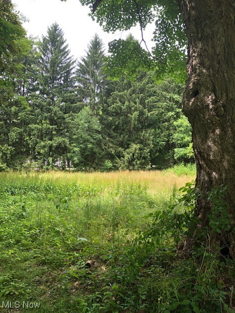 Ville Wilson Mills Road Chardon OH 44024