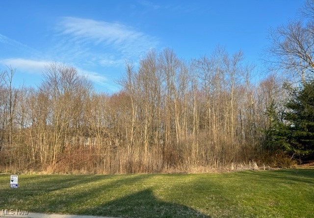 Birchmont Avenue SW Canton OH 44706