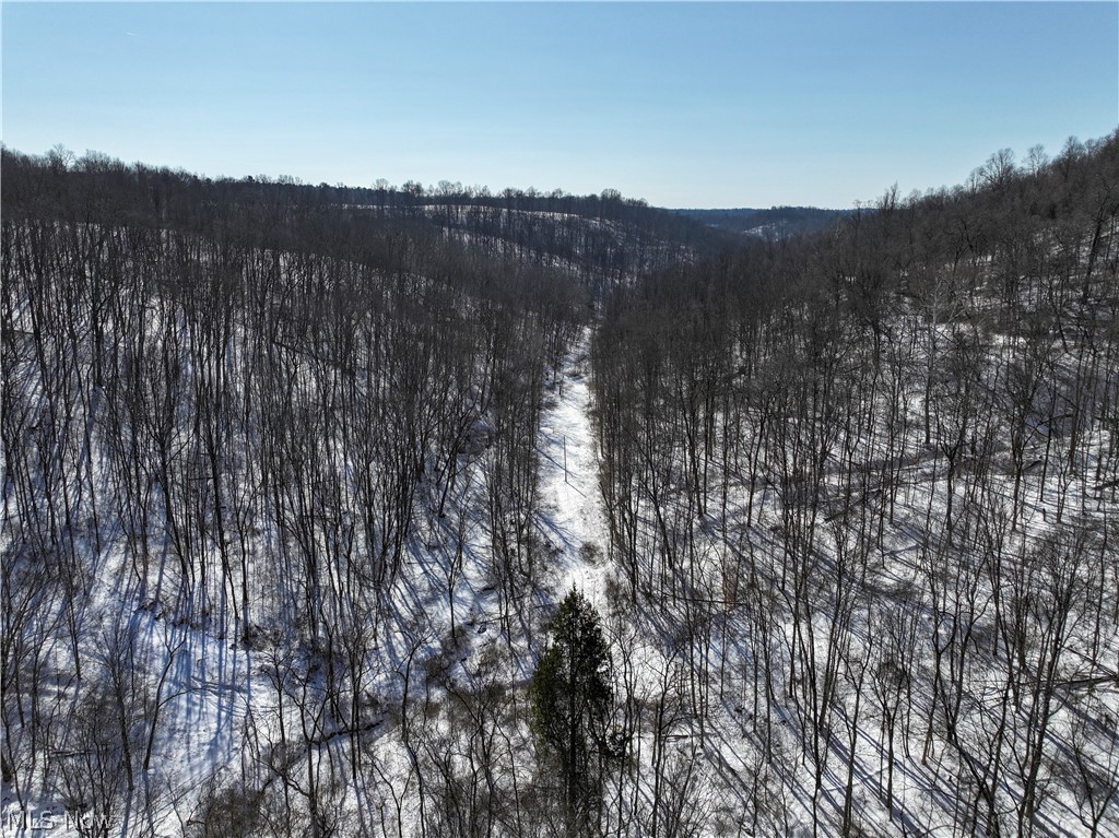 0 Tract 4 Twp Road 815 Woodsfield OH 43793