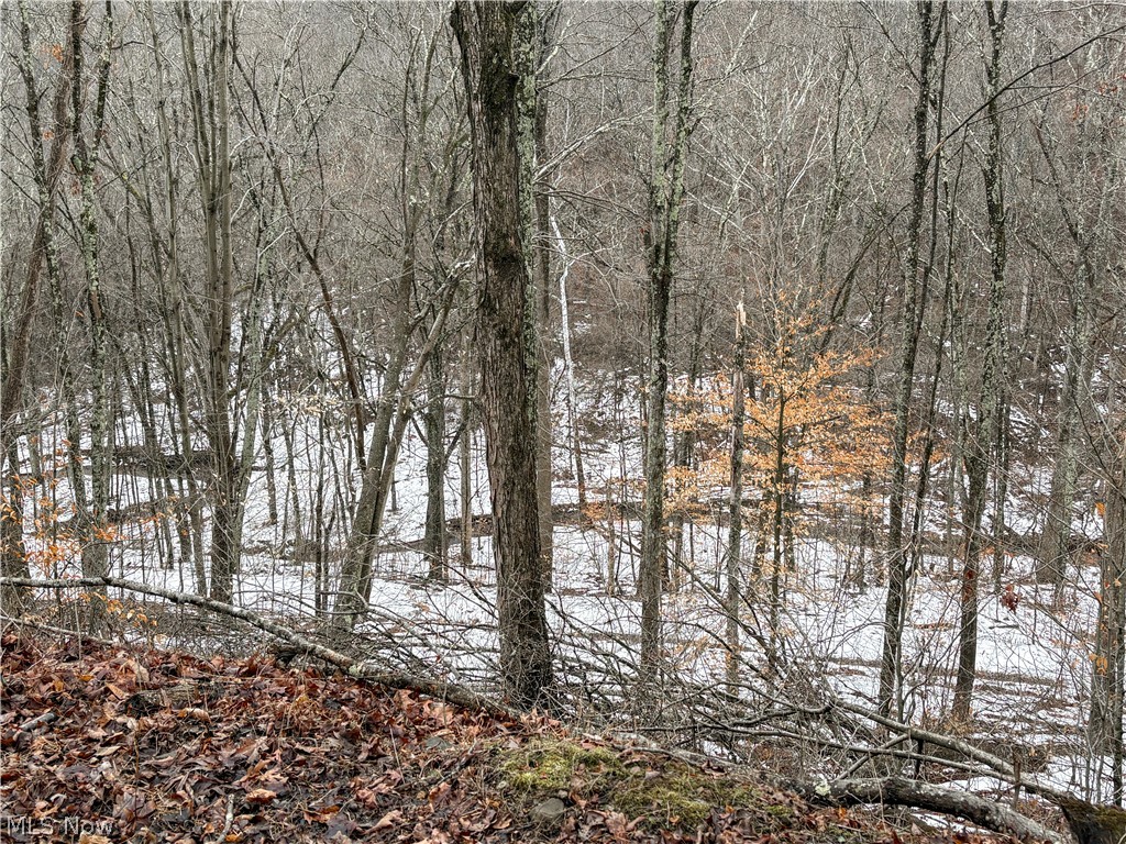 0 Tract 4 Twp Road 815 Woodsfield OH 43793