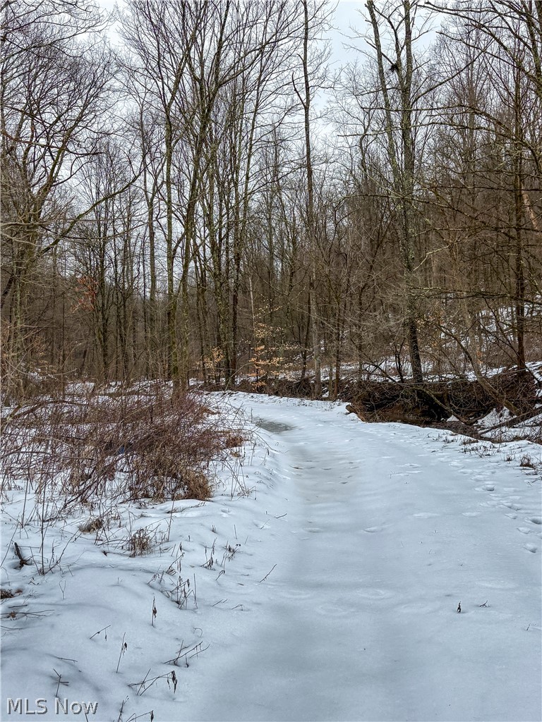 0 Tract 4 Twp Road 815 Woodsfield OH 43793