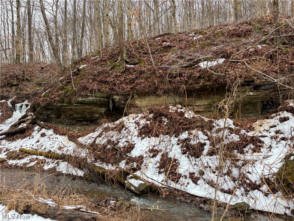 0 Tract 4 Twp Road 815 Woodsfield OH 43793
