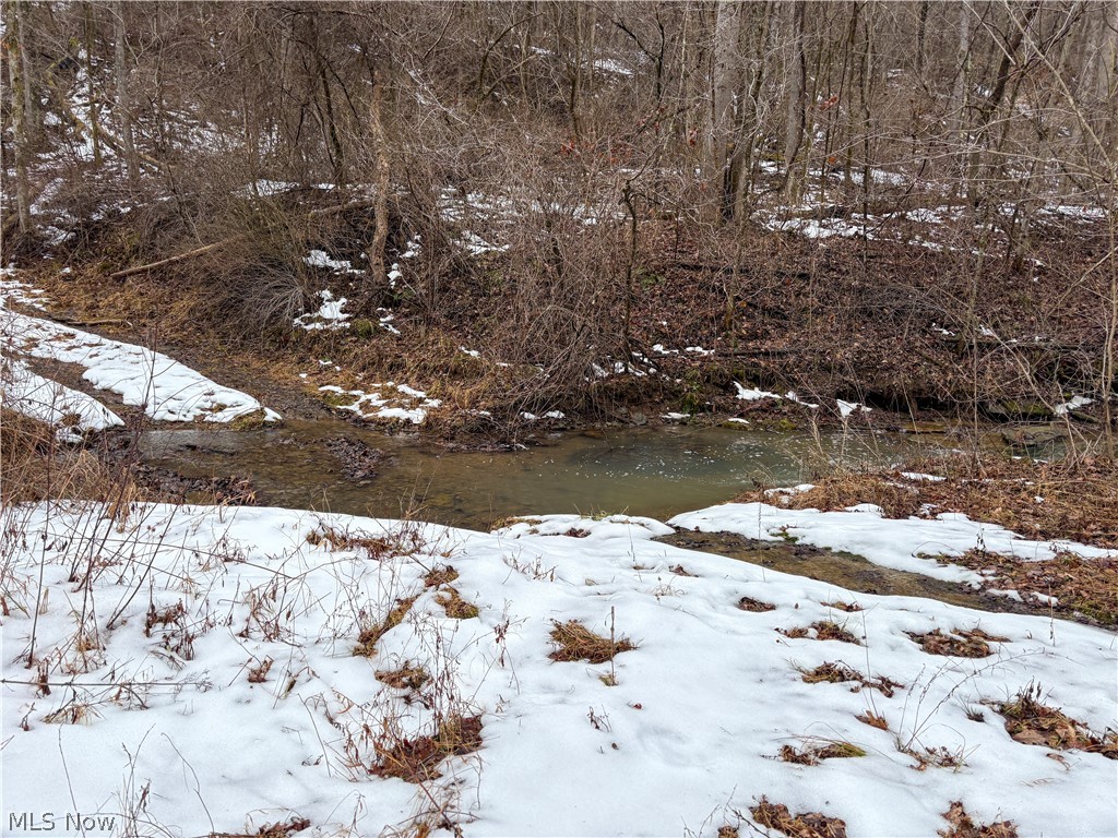 0 Tract 4 Twp Road 815 Woodsfield OH 43793