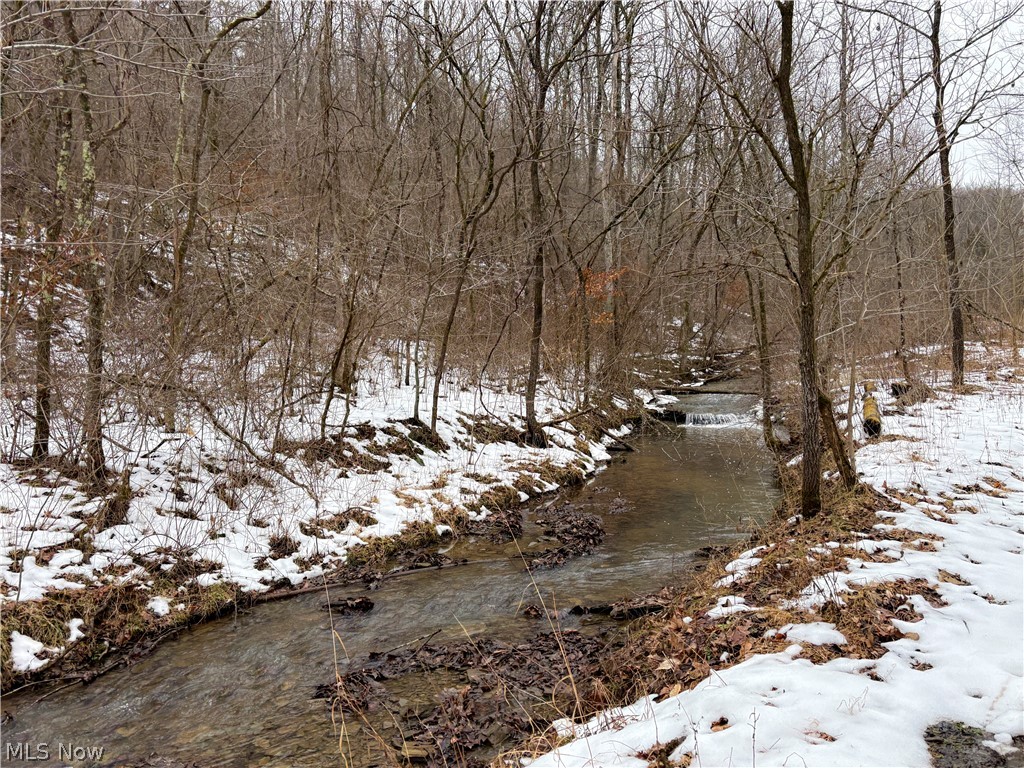 0 Tract 4 Twp Road 815 Woodsfield OH 43793