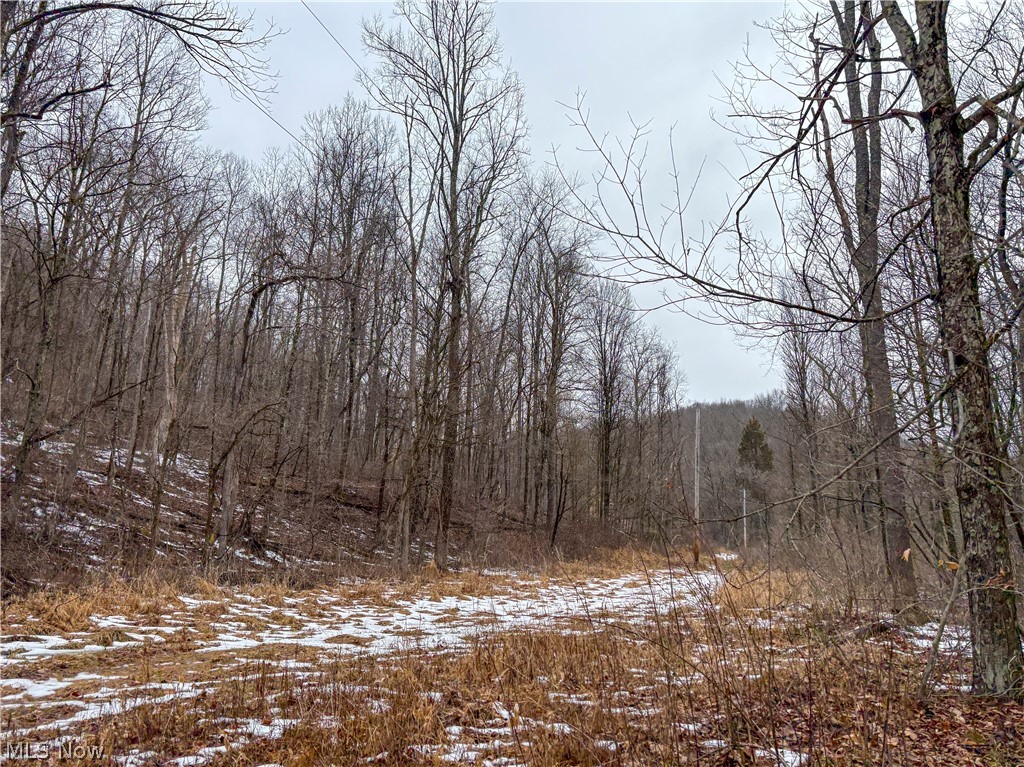 0 Tract 4 Twp Road 815 Woodsfield OH 43793