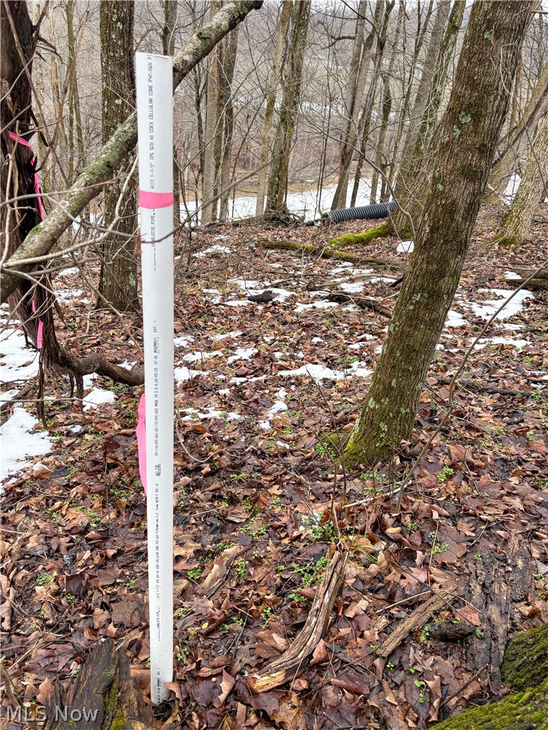 0 Tract 4 Twp Road 815 Woodsfield OH 43793