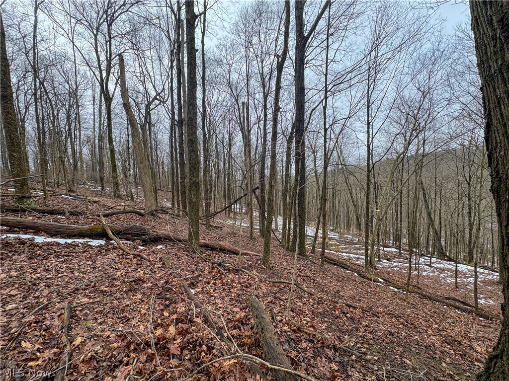 0 Tract 4 Twp Road 815 Woodsfield OH 43793