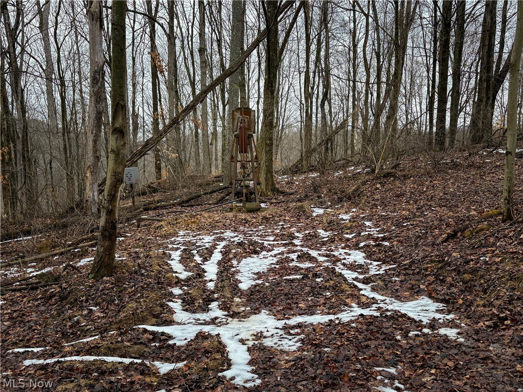 0 Tract 4 Twp Road 815 Woodsfield OH 43793
