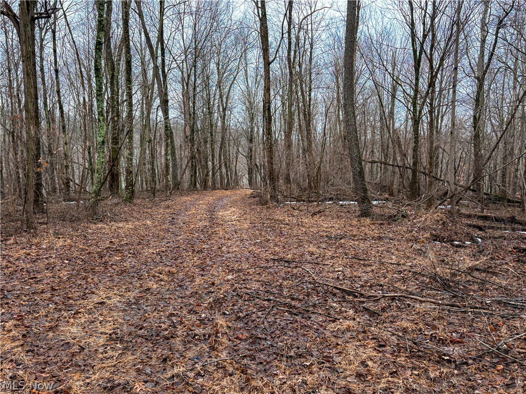 0 Tract 4 Twp Road 815 Woodsfield OH 43793