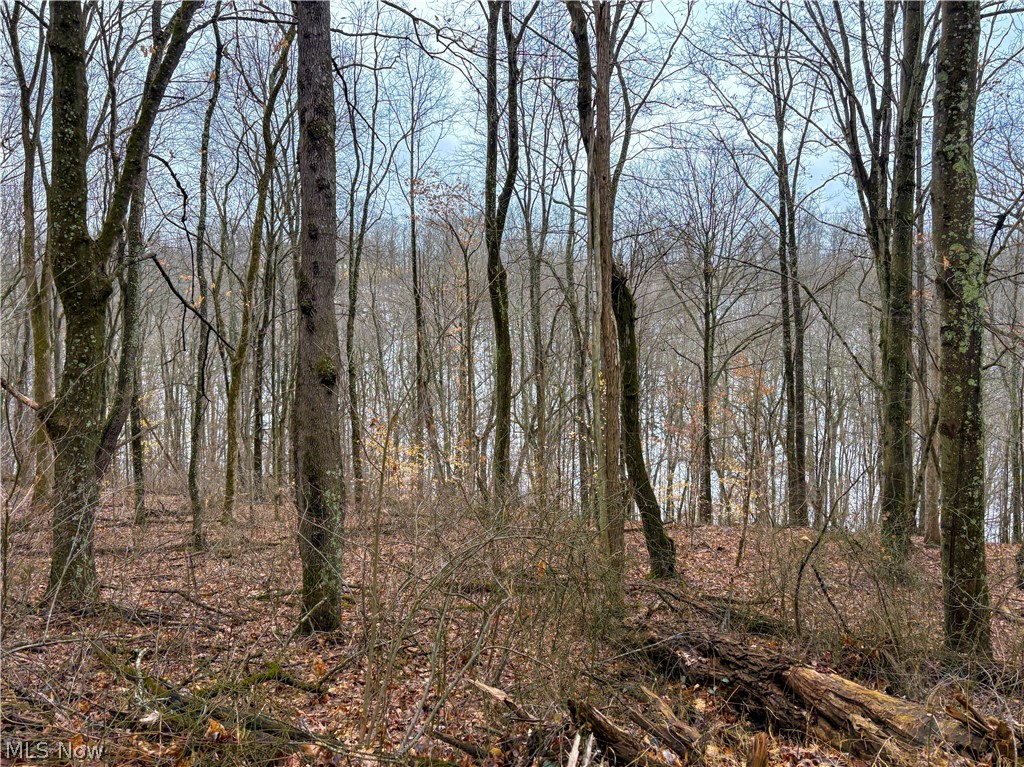0 Tract 4 Twp Road 815 Woodsfield OH 43793