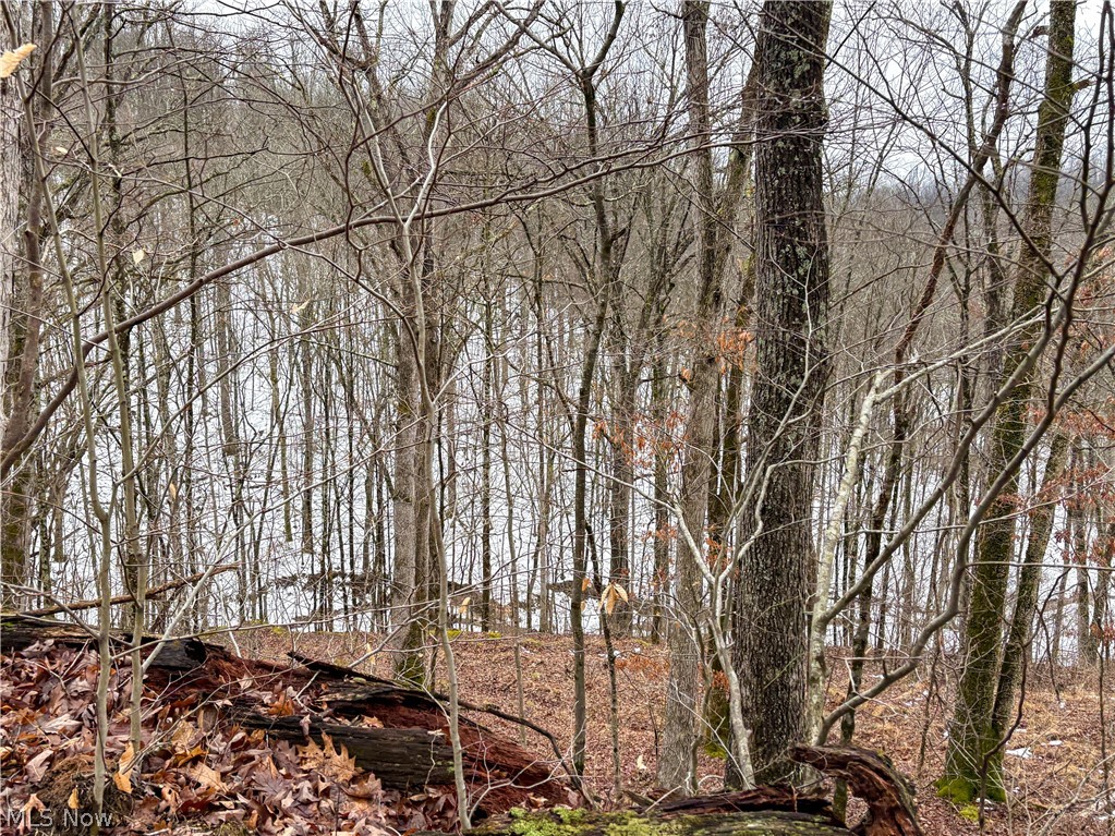 0 Tract 4 Twp Road 815 Woodsfield OH 43793