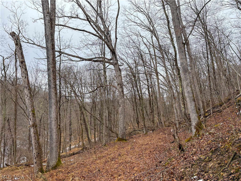 0 Tract 4 Twp Road 815 Woodsfield OH 43793